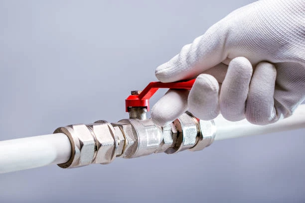 valvole a saracinesca